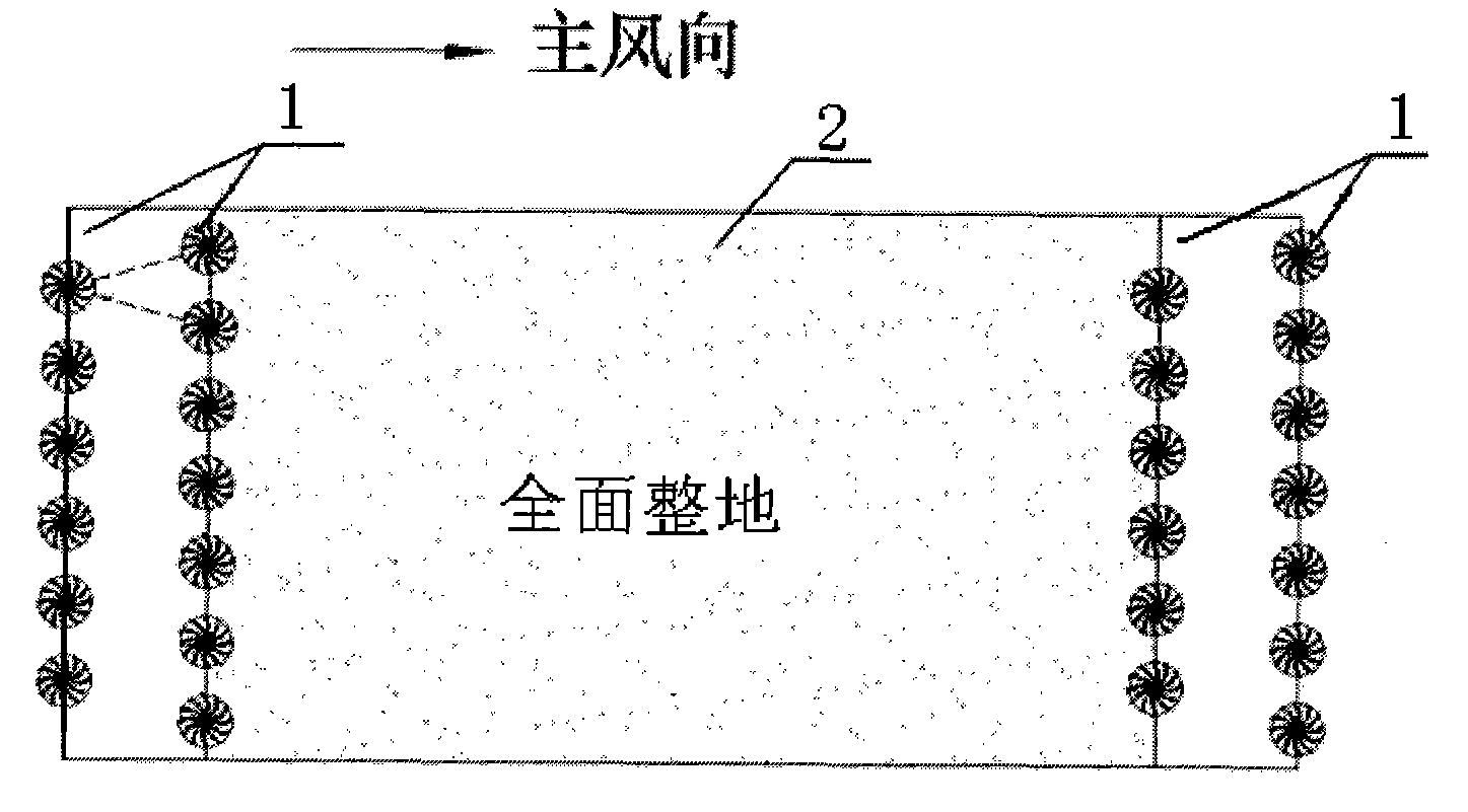 Fast afforestation method of tamarix chinensis at coastal saline-alkali soil