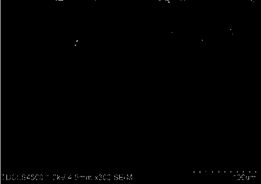 Preparation method of pressed active carbon and pressed active carbon