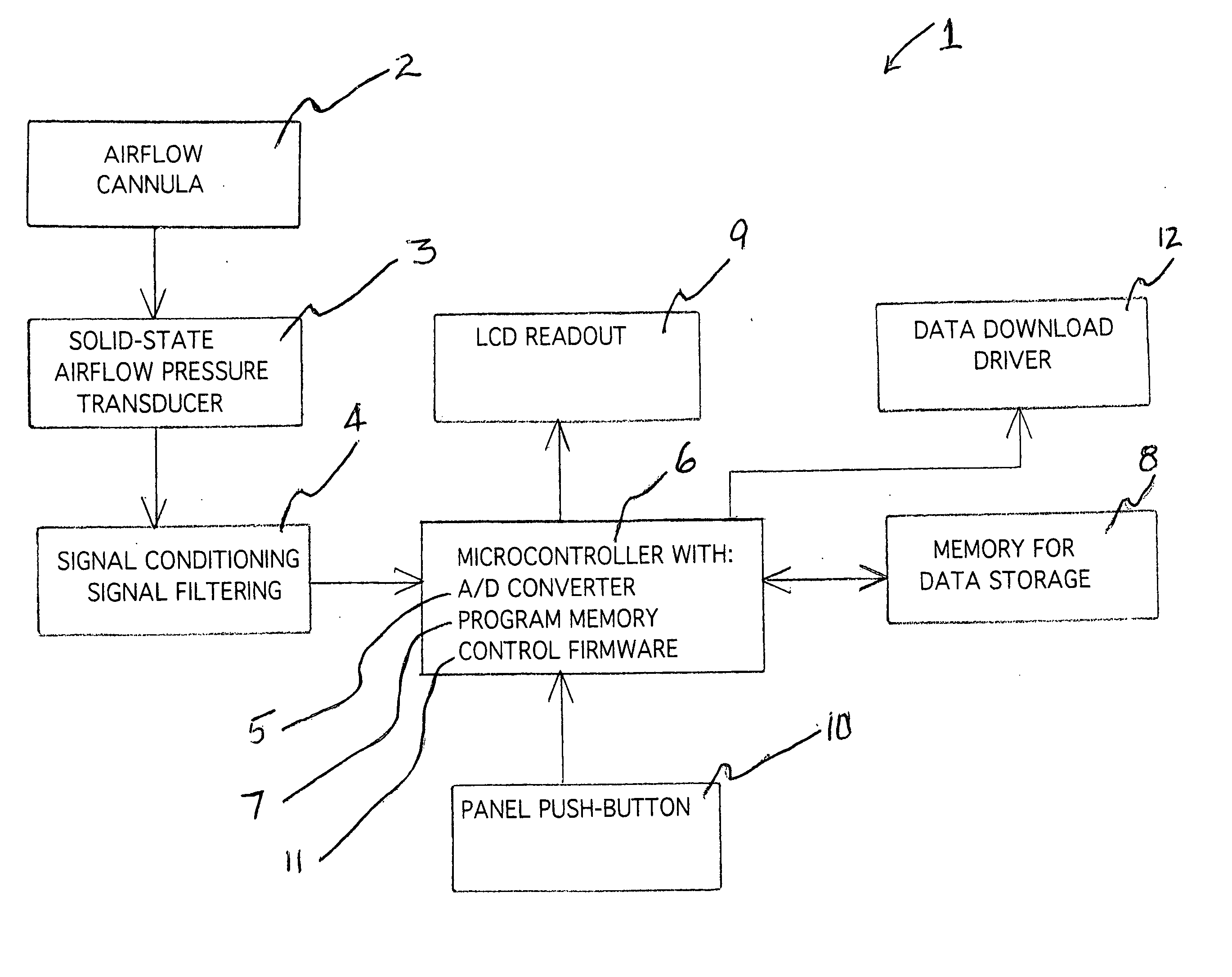 Real-time snoring assessment apparatus and method