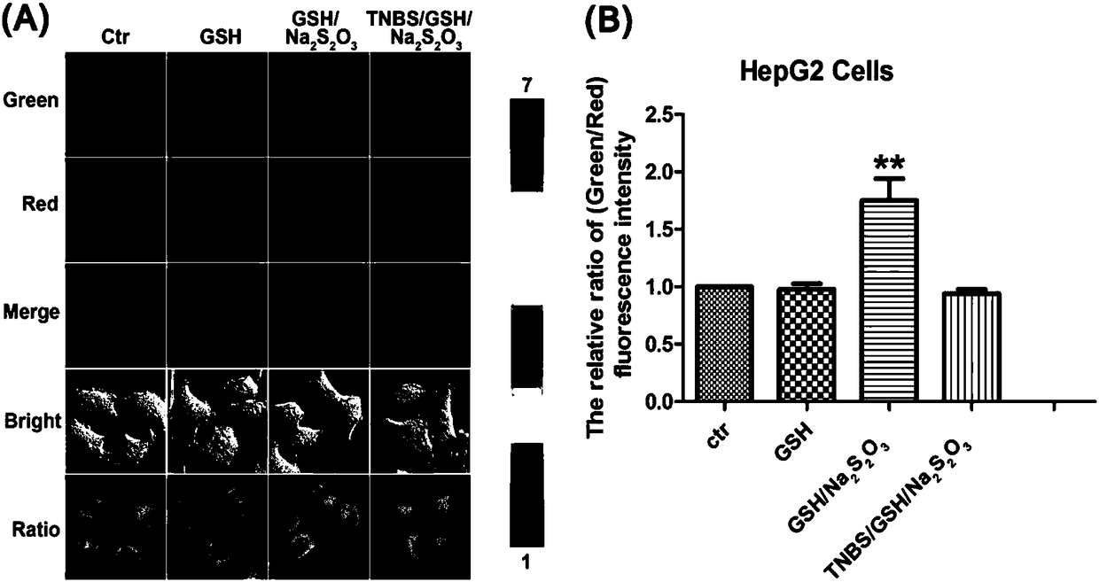 Ratiometric fluorescent probe for detecting bisulfite and application of ratiometric fluorescent probe