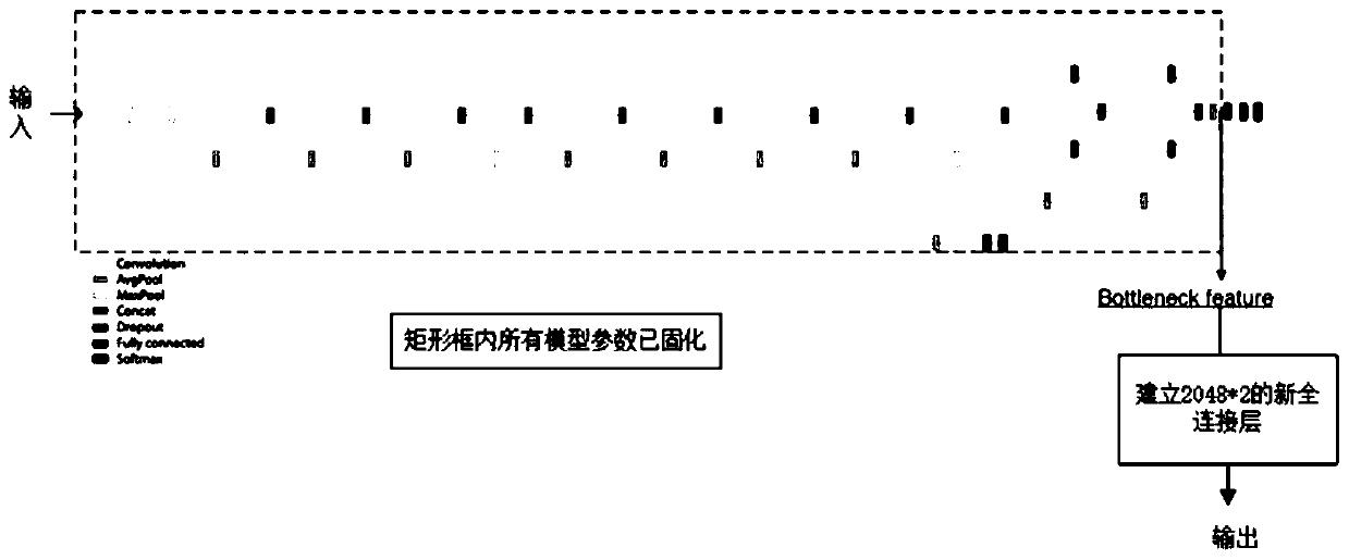 Cancer image prediction and discrimination method and system based on transfer learning