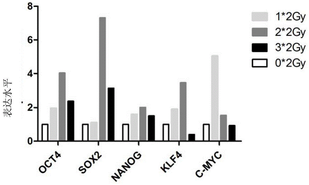 Method for enriching tumor stem cells through continuous low dose radiation