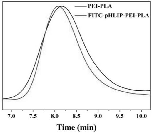 Synthesis and characterization of the transport vector phlip-pei-pla and a method for studying its delivery to siRNA