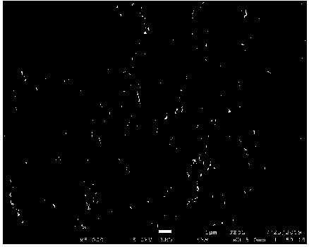 High-beta-phase compact silicon nitride ceramic and low-temperature preparation method