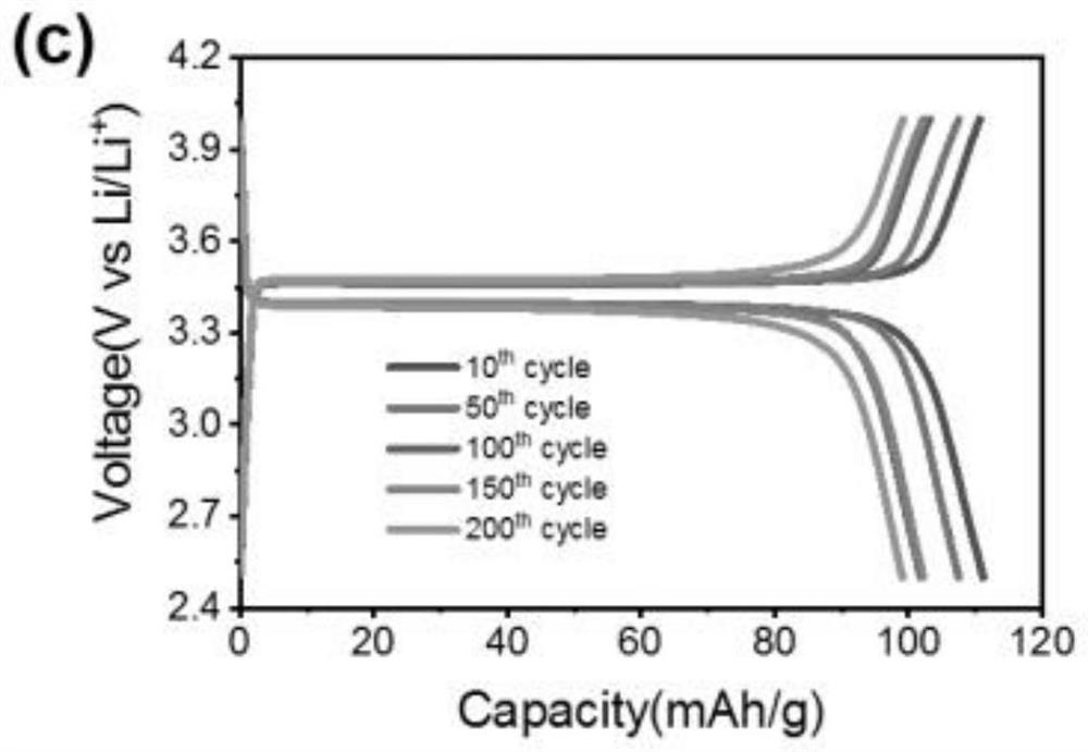 Asymmetric solid electrolyte and preparation method thereof as well as solid lithium battery and preparation method thereof