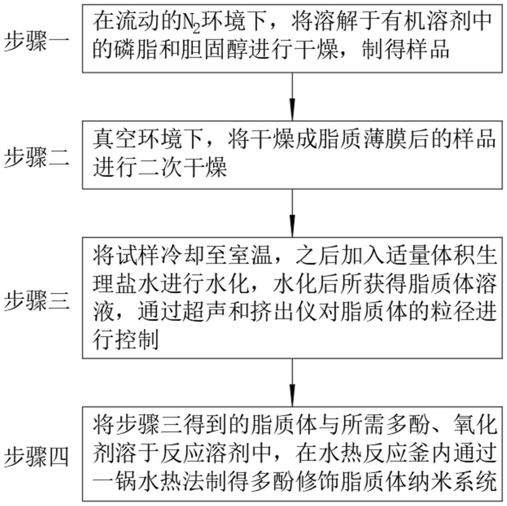 Polyphenol modified liposome nano system as well as preparation method and application thereof