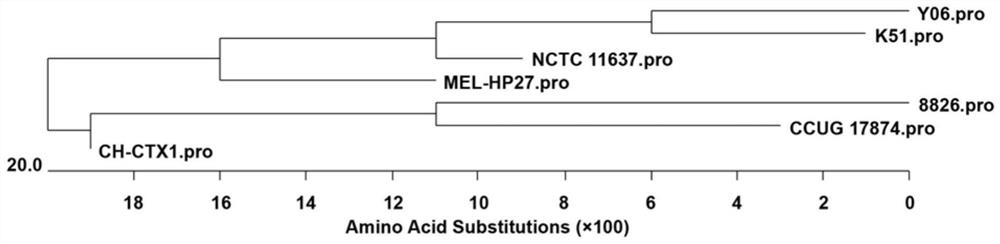 Helicobacter pylori hpaa subunit b cell epitope peptide and its application