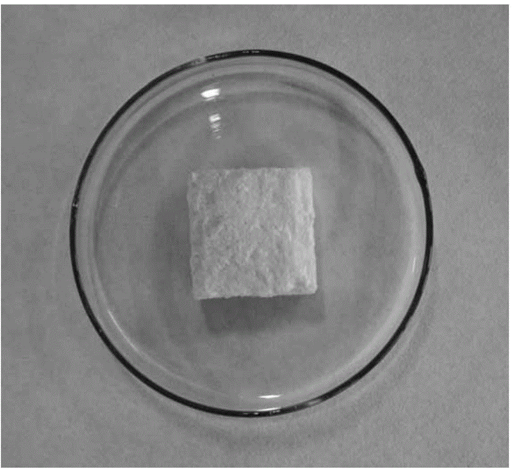 Preparation method of nanocellulose/polyurethane foam composite elastomer