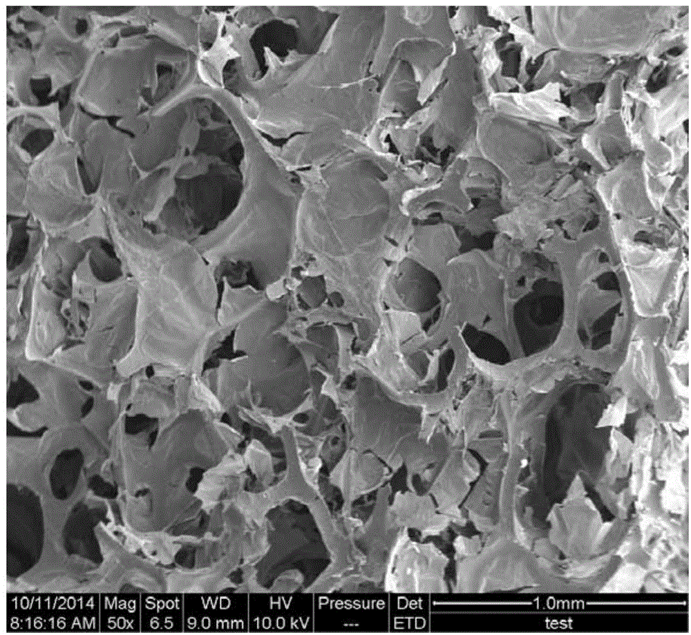 Preparation method of nanocellulose/polyurethane foam composite elastomer