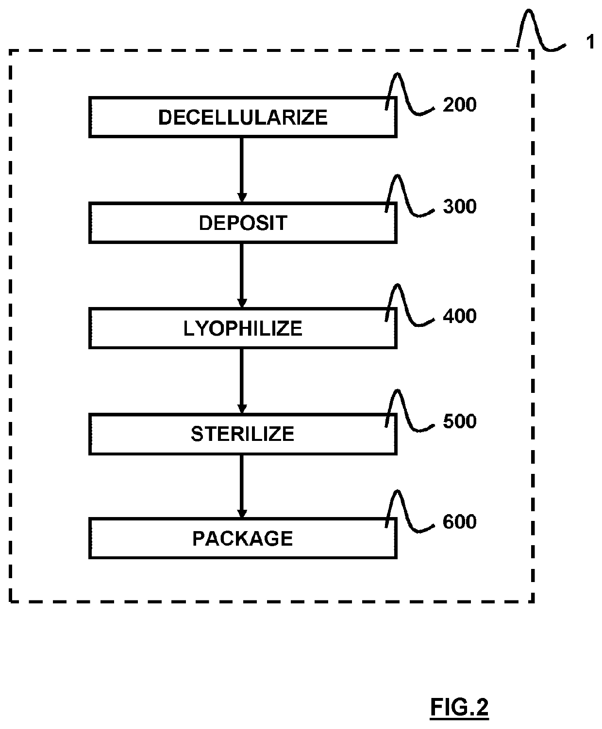 Method for preparing an allograft or xenograft material from a crystalline lens capsule