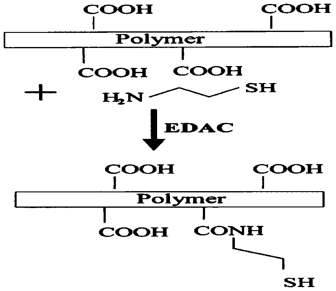 A kind of binder for positive electrode of lithium-sulfur battery and preparation method thereof