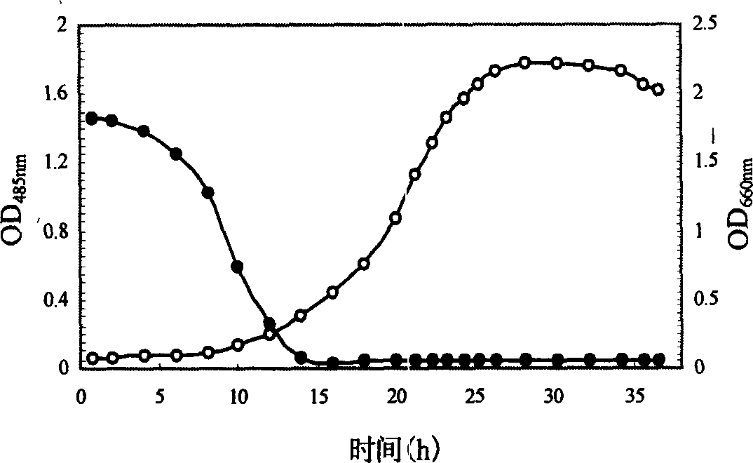 Sphingol monospore bacterial strain and its application in anthraquinone dye waste water decolour