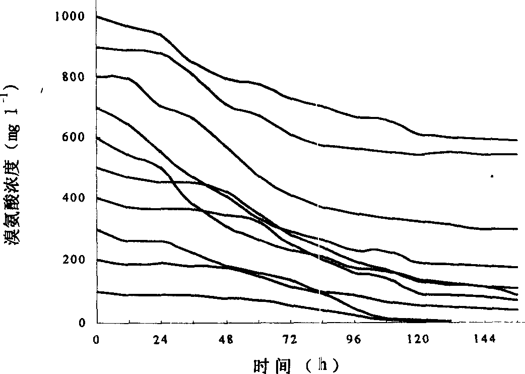 Sphingol monospore bacterial strain and its application in anthraquinone dye waste water decolour