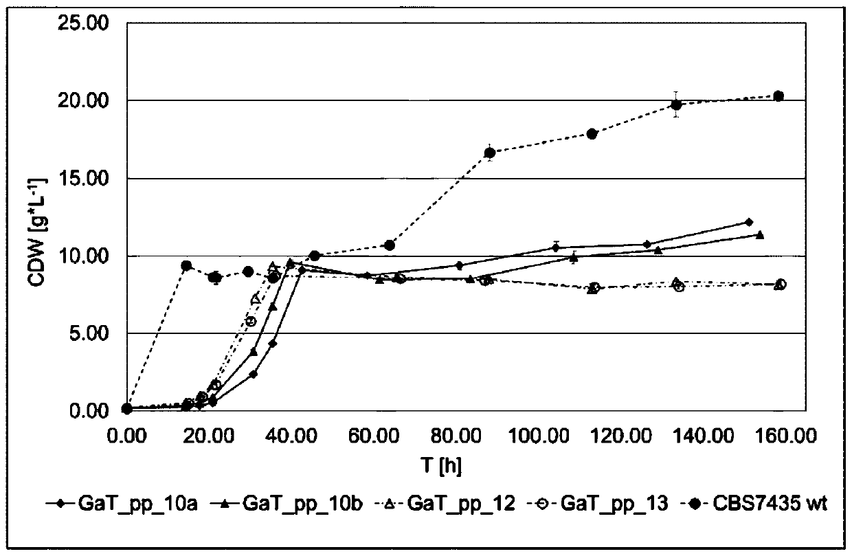 Yeast expressing a synthetic calvin cycle