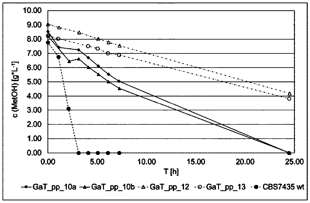 Yeast expressing a synthetic calvin cycle