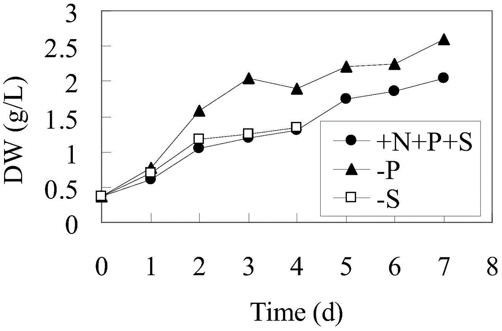 Method for concurrently improving spirulina biomass and polysaccharide yield