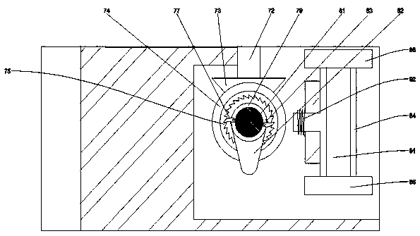 Automatic timing feeding device for livestock breeding