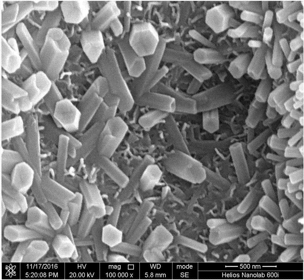 Preparation method of quick in-situ construction of apatite nanorod with certain orientation on surface of titanium micro-arc anti-oxidization coating layer