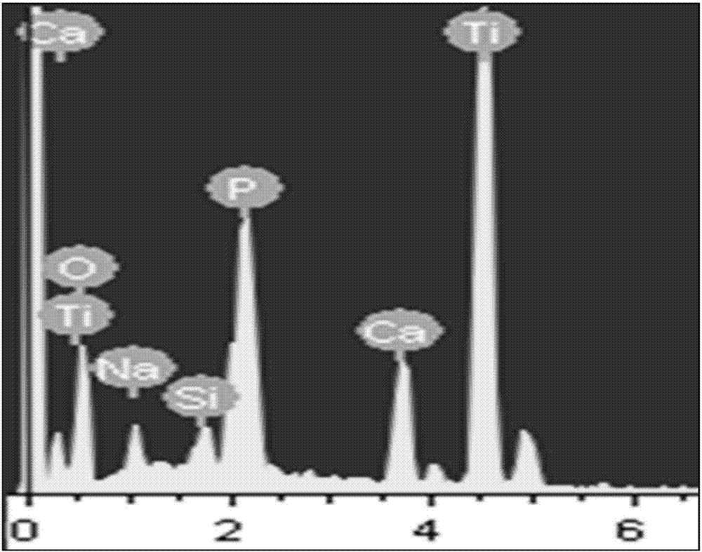 Preparation method of quick in-situ construction of apatite nanorod with certain orientation on surface of titanium micro-arc anti-oxidization coating layer