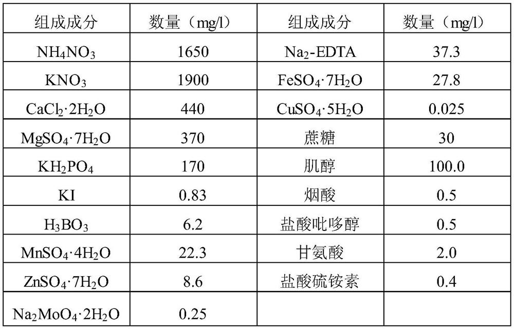 Preparation method of pineapple tissue culture seedlings