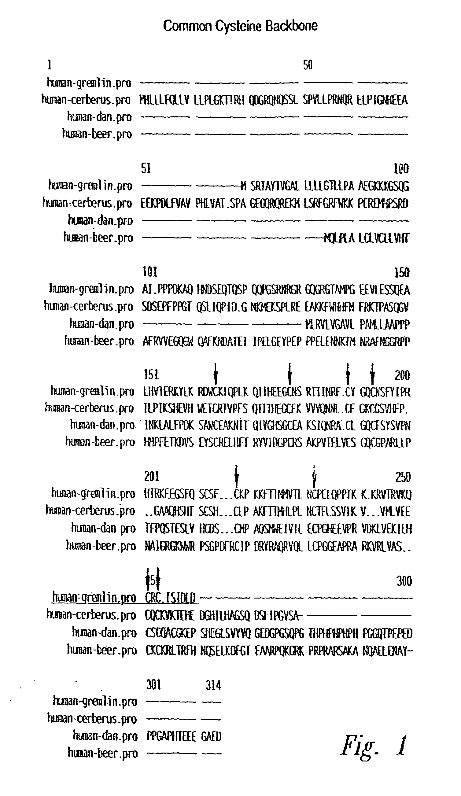 Ligands for TGF-beta binding proteins and uses thereof