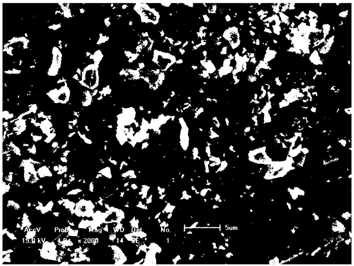 Preparation method of sulfur autotrophic denitrification bacterium immobilized particles