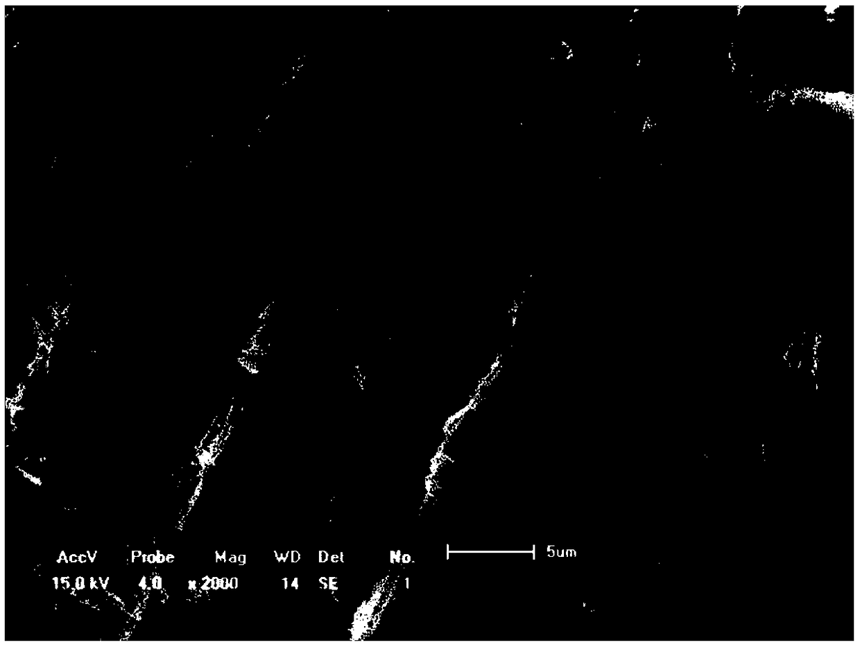 Preparation method of sulfur autotrophic denitrification bacterium immobilized particles