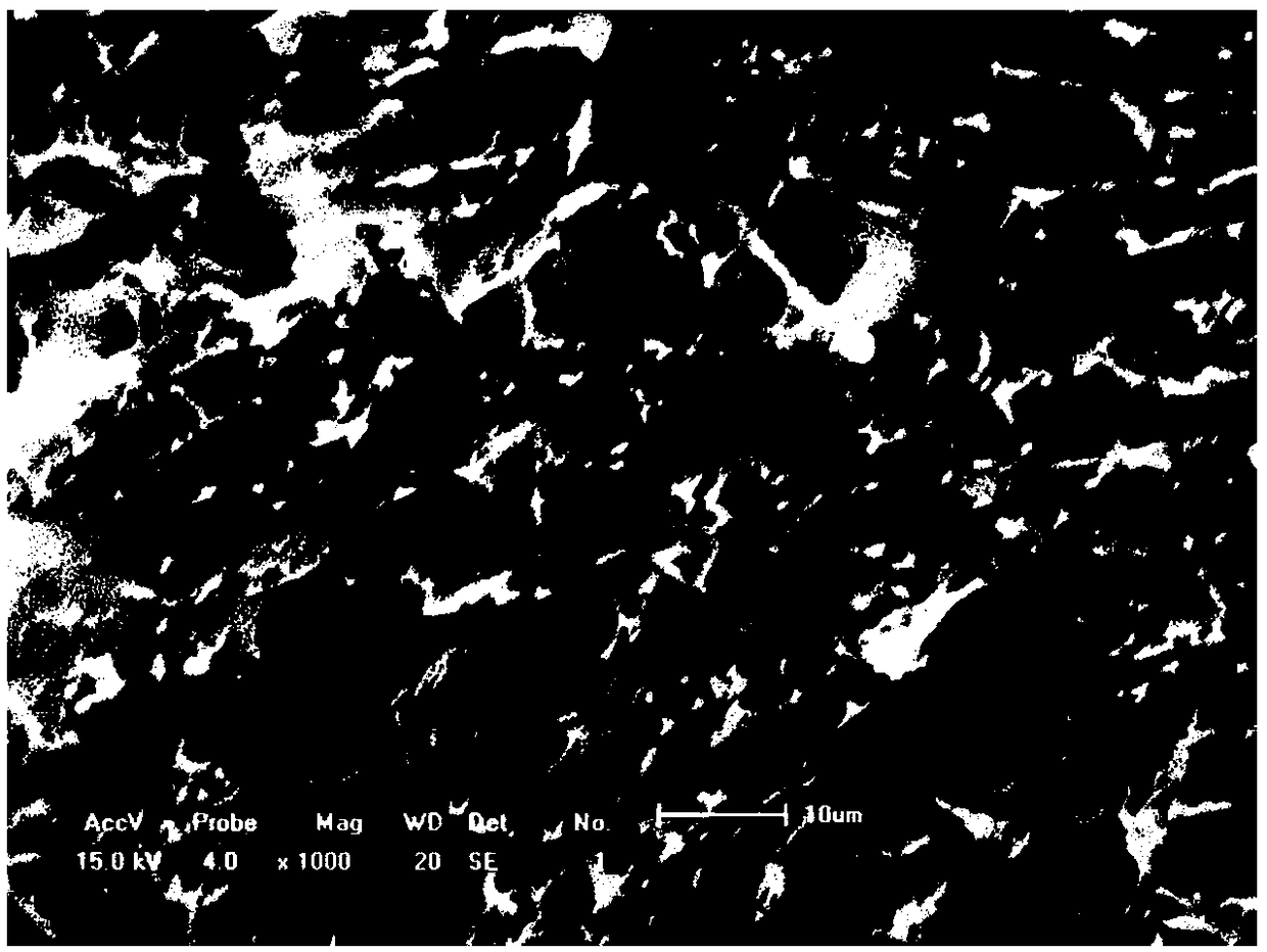 Preparation method of sulfur autotrophic denitrification bacterium immobilized particles