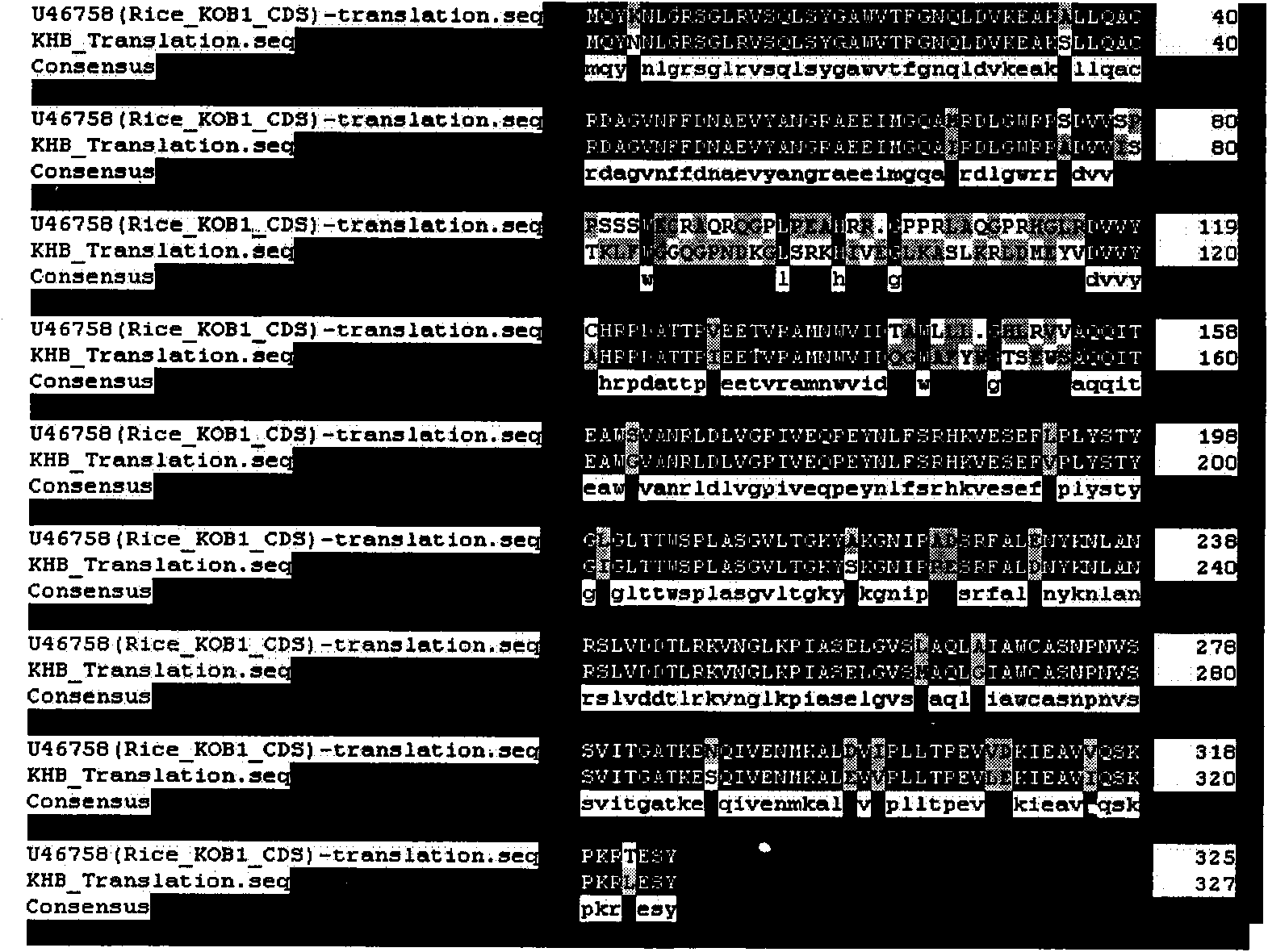 Nucleic acid sequences of novel wheat potassium channel beta subunit KTB and KHB genes and the application thereof