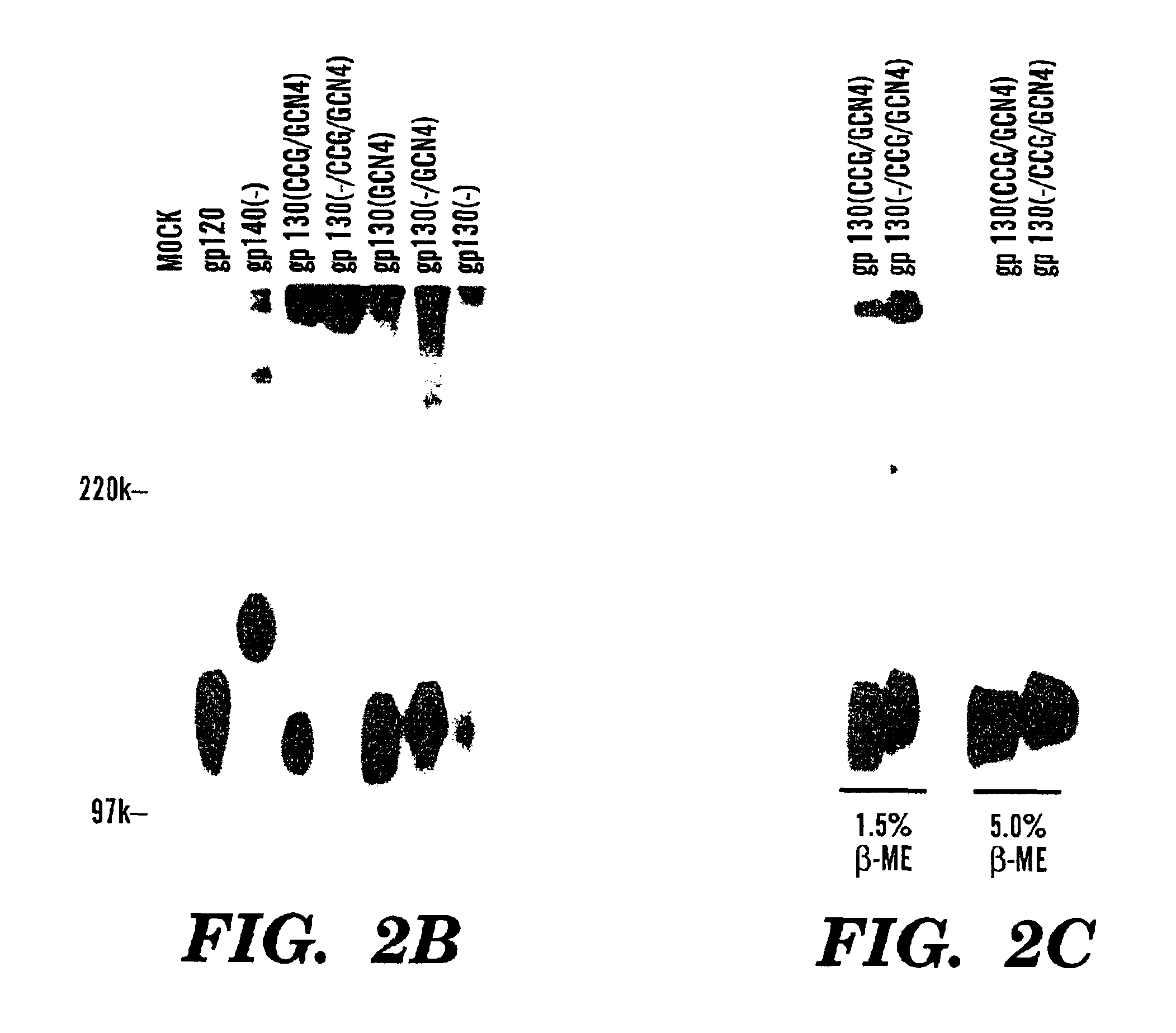 Stabilized soluble glycoprotein trimers