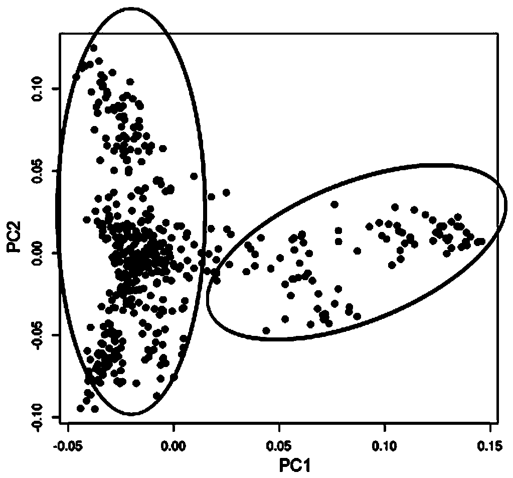 Genome-wide SNP and indel molecular marker method of large yellow croaker based on double enzyme digestion