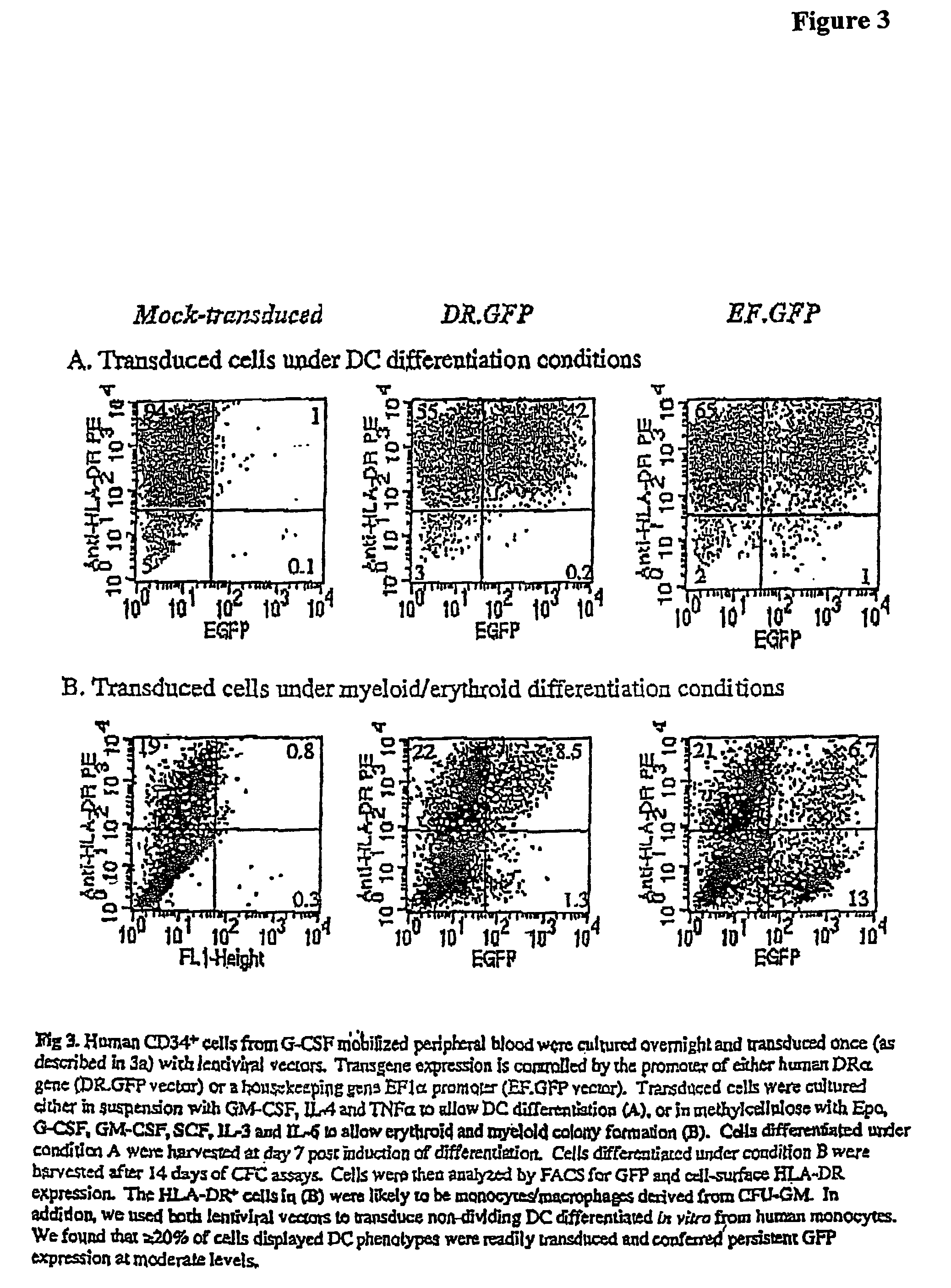 Modulation of systemic immune responses by transplantation of hematopoietic stem cells transduced with genes encoding antigens and antigen presenting cell regulatory molecules