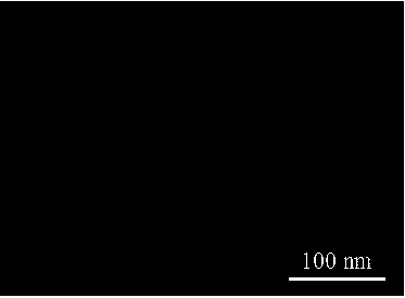 Preparation method of regularly-bent tellurium nanowires