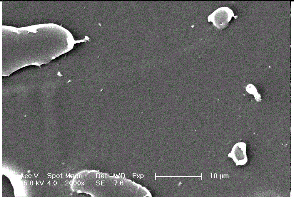 Method for preparing porous polymer material by selective biodegradation