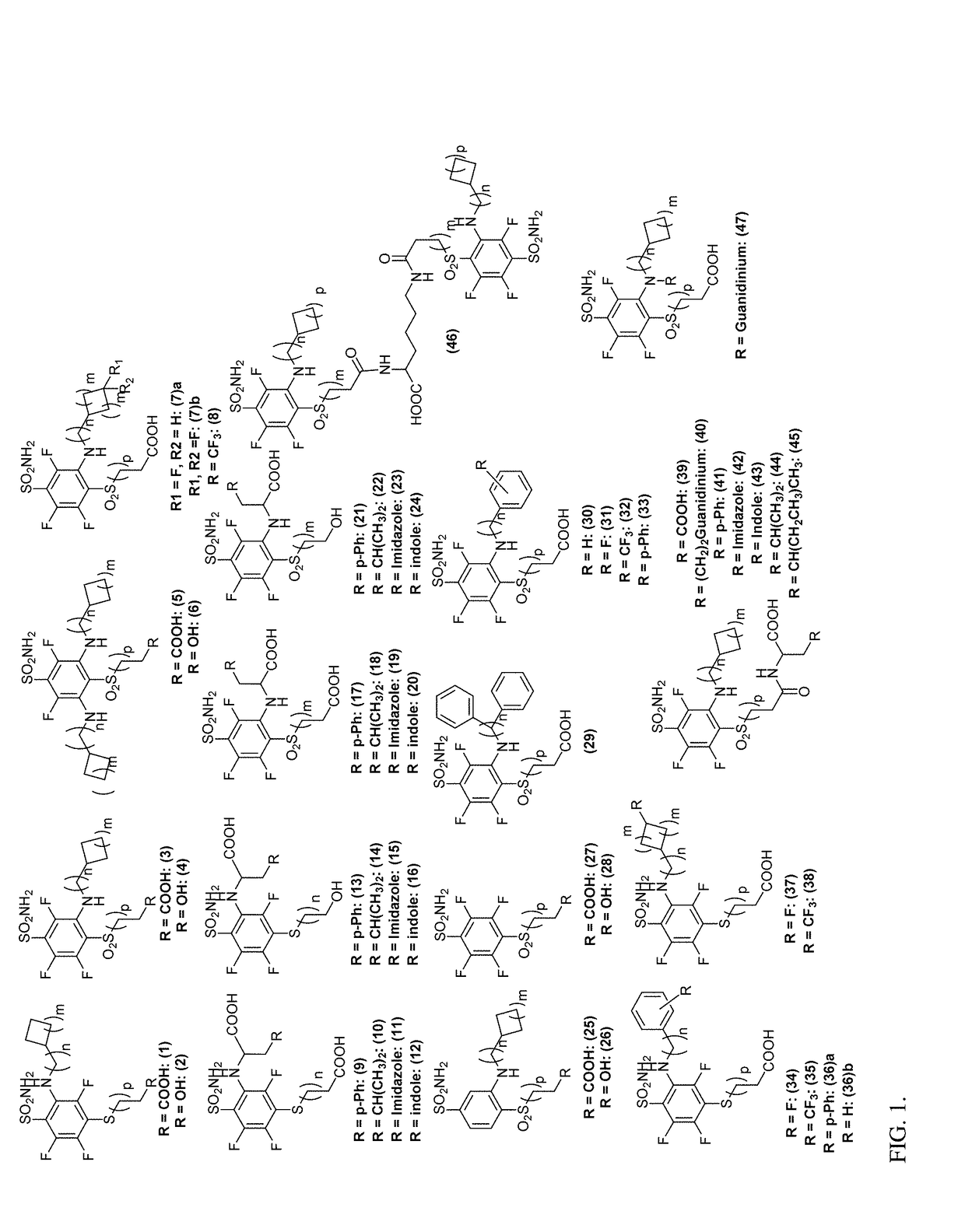 Ca ix - nir dyes and their uses