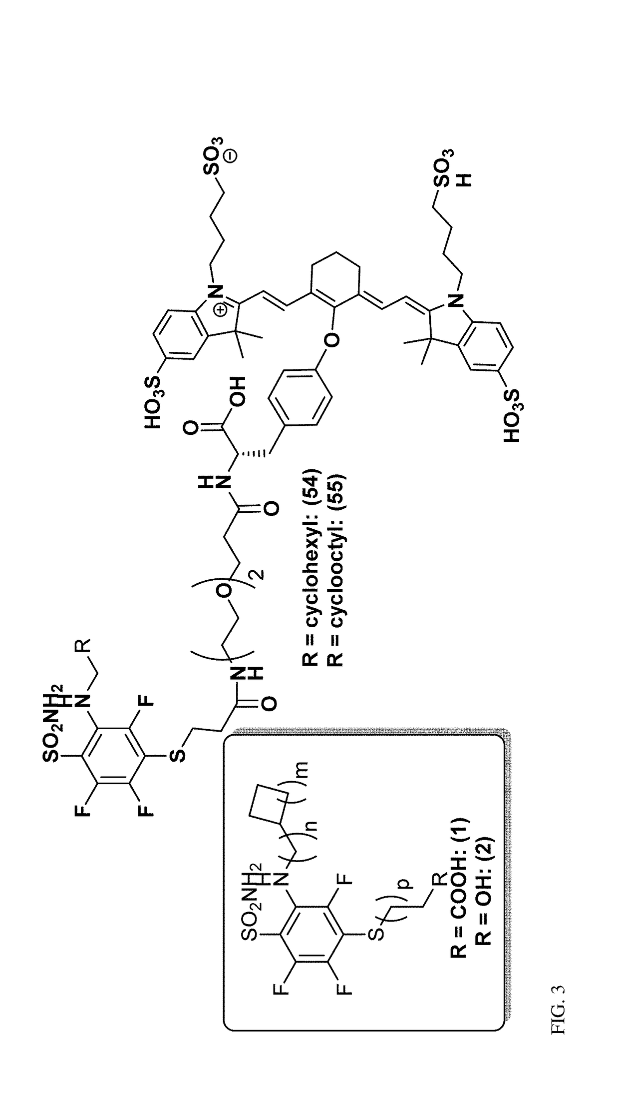 Ca ix - nir dyes and their uses