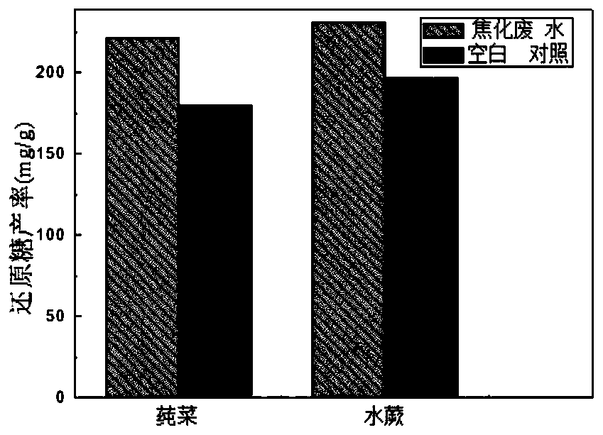 Method for regenerating green energy by utilizing coking wastewater