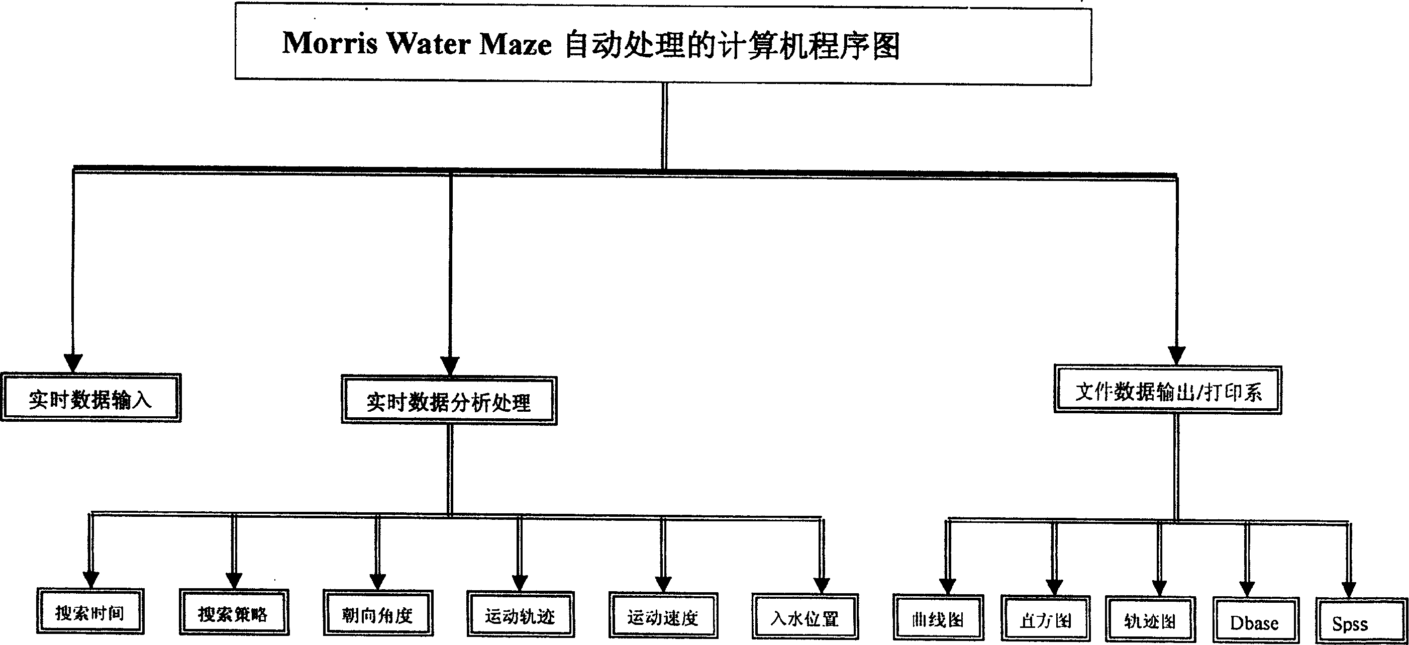 Automatic water maze image processing system and method