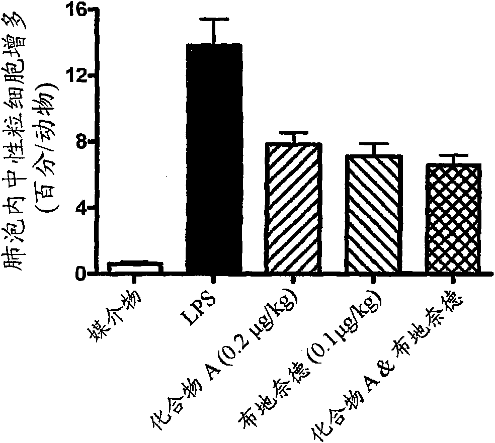 Combinations of beta- 2 -adrenoceptor agonistic benzothiazolone