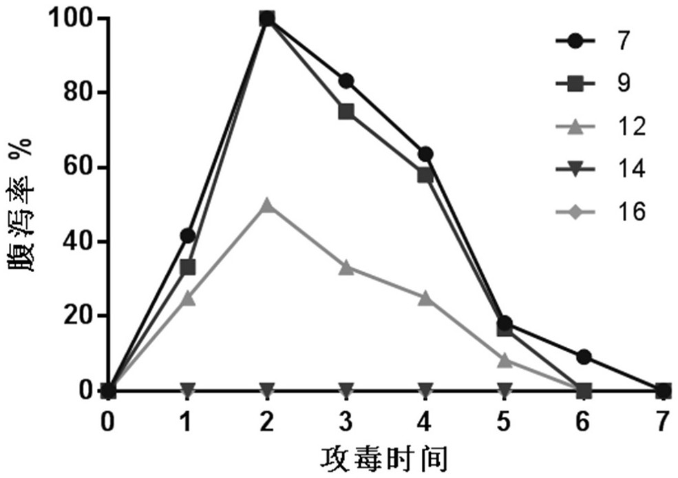 Rotavirus challenge animal model and establishment method thereof