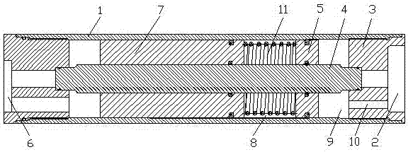 A piston protector