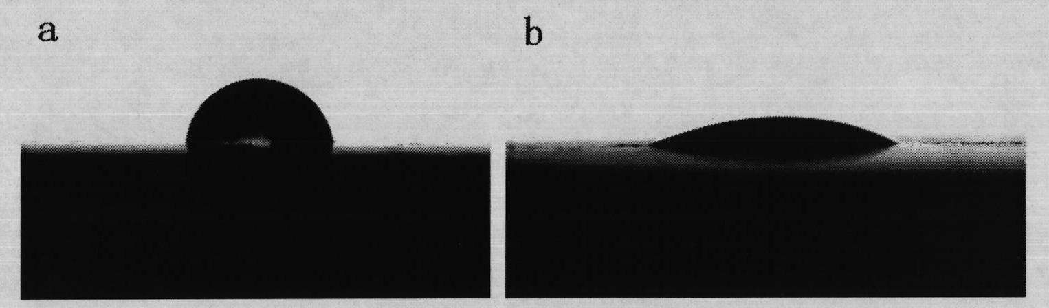 Method for modifying steel surface of ship body by plasma at normal pressure