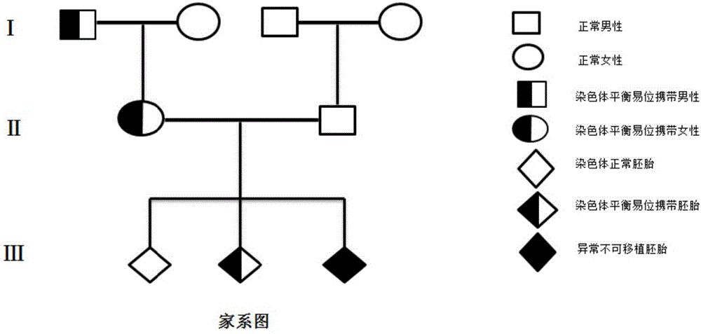 Method for identifying embryos carrying chromosomal balanced translocation and normal embryos