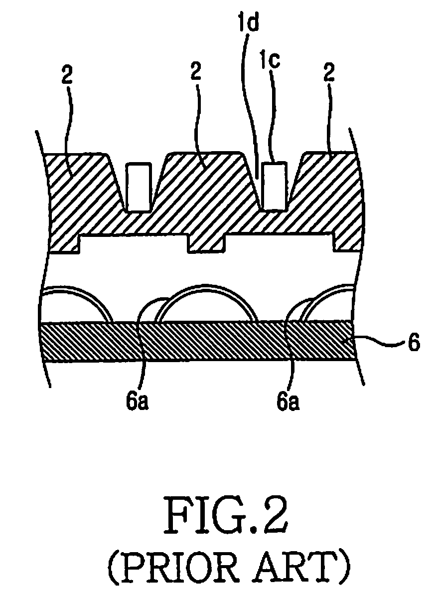 Keypad coupling apparatus for portable terminal