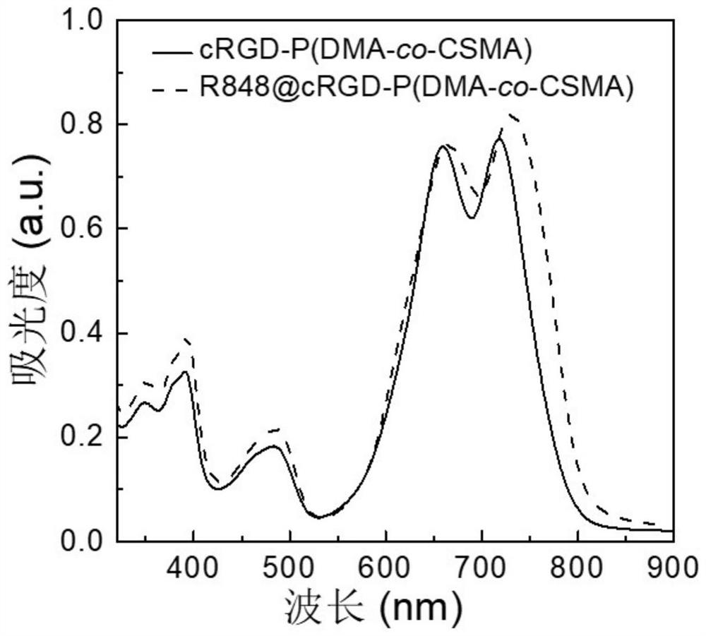 A tumor-mitochondria dual-targeting polymer and its preparation method and application