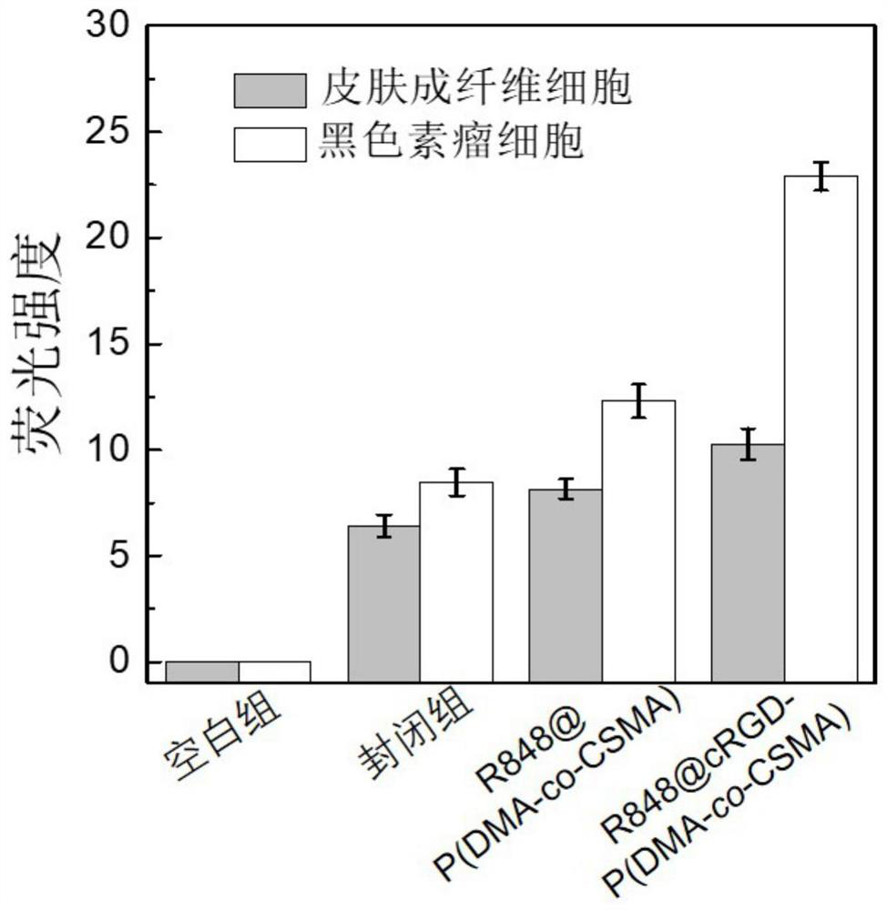 A tumor-mitochondria dual-targeting polymer and its preparation method and application