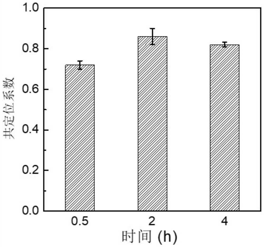 A tumor-mitochondria dual-targeting polymer and its preparation method and application