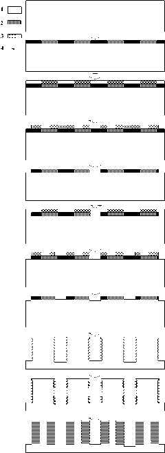 Method for preparing butterfly lepidoptera-simulated hierarchical multi-layer symmetrical micro/nano structure