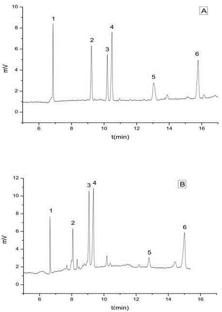 Double-template molecularly-imprinted solid-phase extraction column and application method