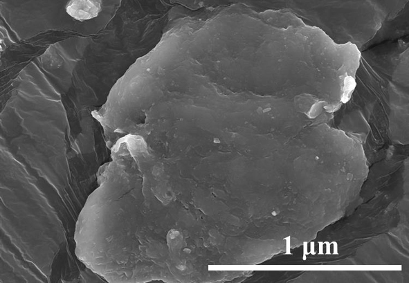 Low-reflection and high-absorption electromagnetic shielding polymer composite material with gradient electric conduction-uniform heat conduction dual-functional network